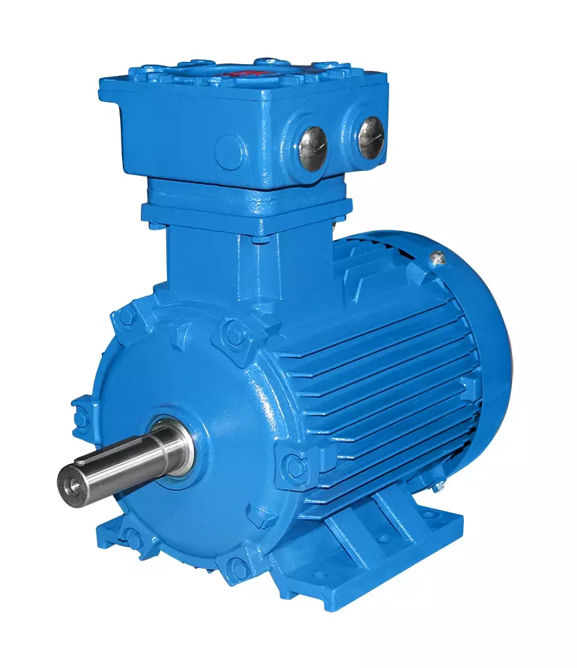 Motore elettrico ATEX 160M 11 kW 4 poli-B3