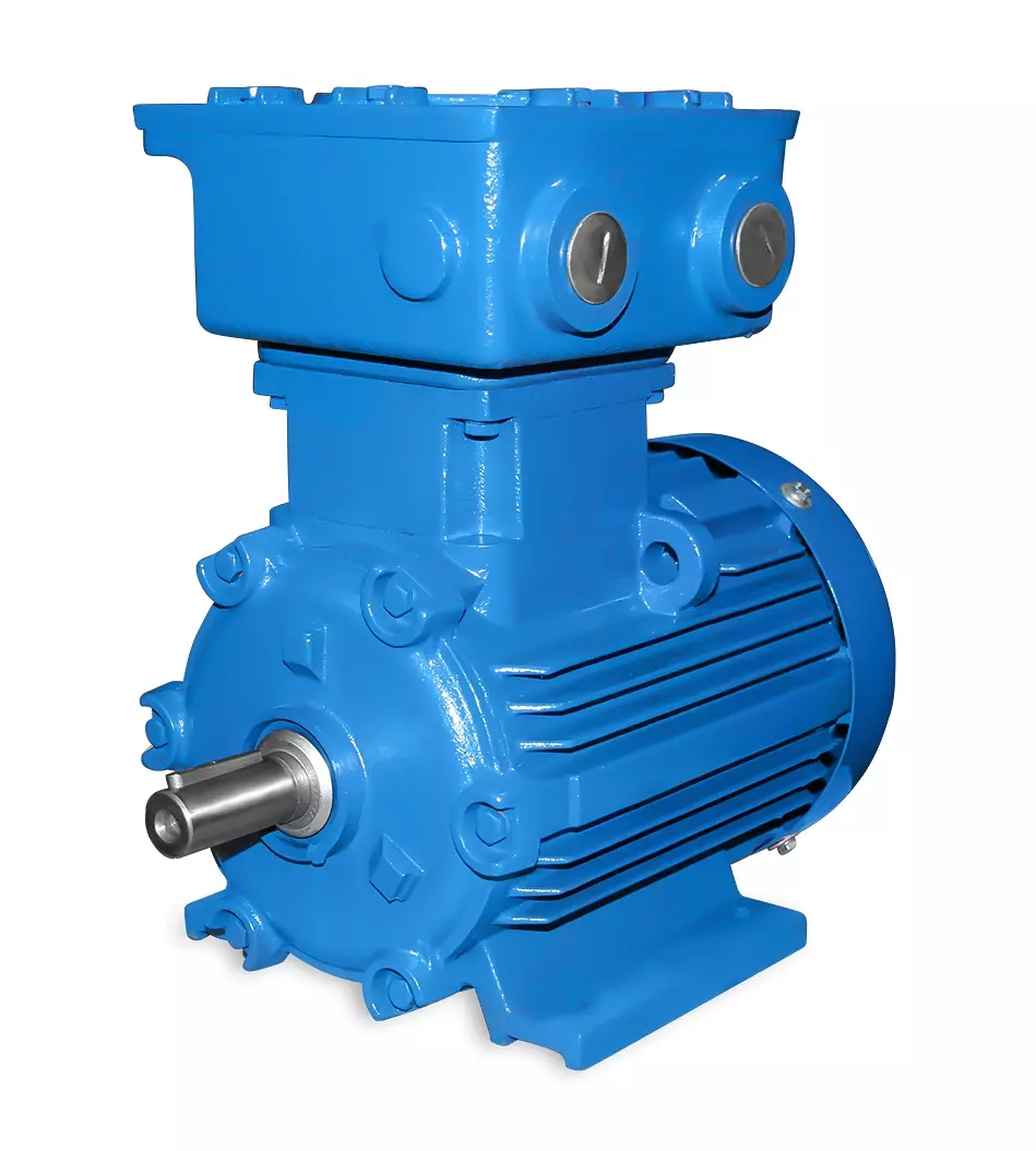 Motore elettrico ATEX 100L 3,0 kW 2 poli-B3