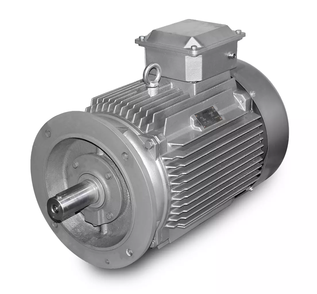 Motore elettrico-M3 200L-30 kW-4pol-B5/V3